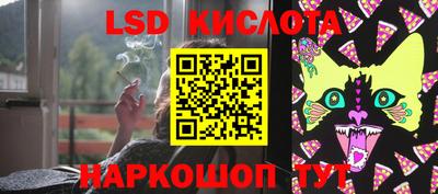 прущие грибы Донской