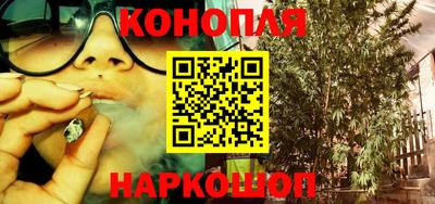 прущие грибы Донской